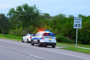 police on side of road
